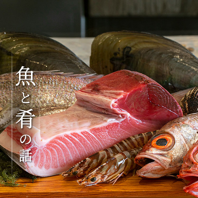 魚と肴の話